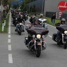 IMG_5290.JPG