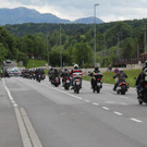 IMG_5230.JPG