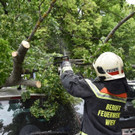 Sturm Wien MA 68.jpg