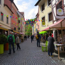 IMG_6383.jpg