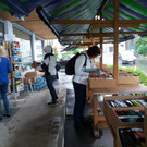 handy_mai2017 170.jpg