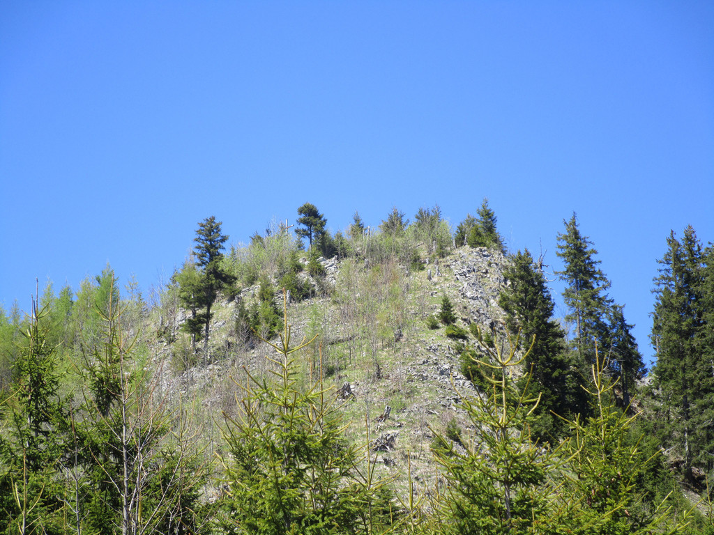 IMG_8227.JPG