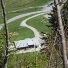 IMG_8230.JPG