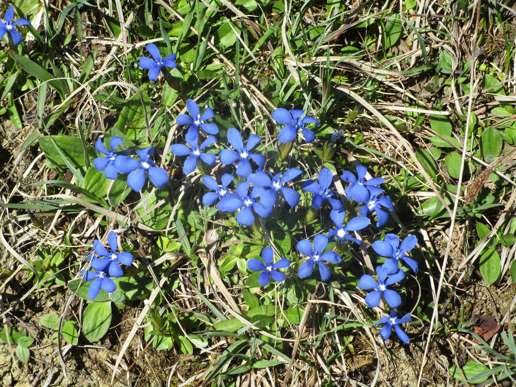 IMG_8246.JPG