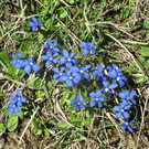 IMG_8246.JPG