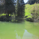 IMG_8250.JPG