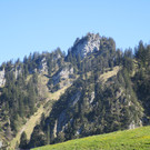 IMG_8256.JPG