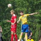 file6v13pinex9e9vppecdk.jpg
