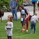 DSC_0046 - Kopie.JPG