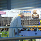 DSC04187.JPG