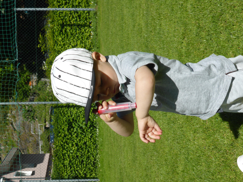 P1110731.JPG