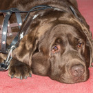 VIP Opening Domaene Mueller - 20_05_2017-89.jpg