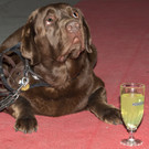 VIP Opening Domaene Mueller - 20_05_2017-90.jpg