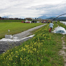 DSC_0894.JPG