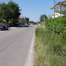 Italy_Hayden_Injured_24755.jpg