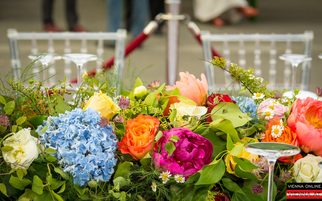 Eroeffnung Wienissimo - Festspiele - 22_05_2017-2.jpg