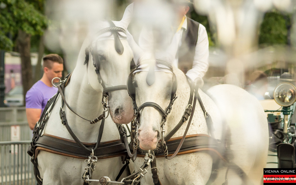 Eroeffnung Wienissimo - Festspiele - 22_05_2017-35.jpg