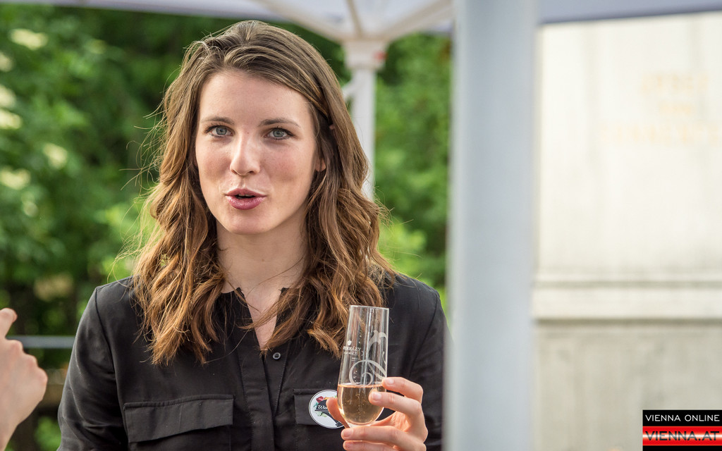 Eroeffnung Wienissimo - Festspiele - 22_05_2017-45.jpg