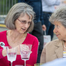 Eroeffnung Wienissimo - Festspiele - 22_05_2017-182.jpg