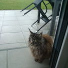 Fred