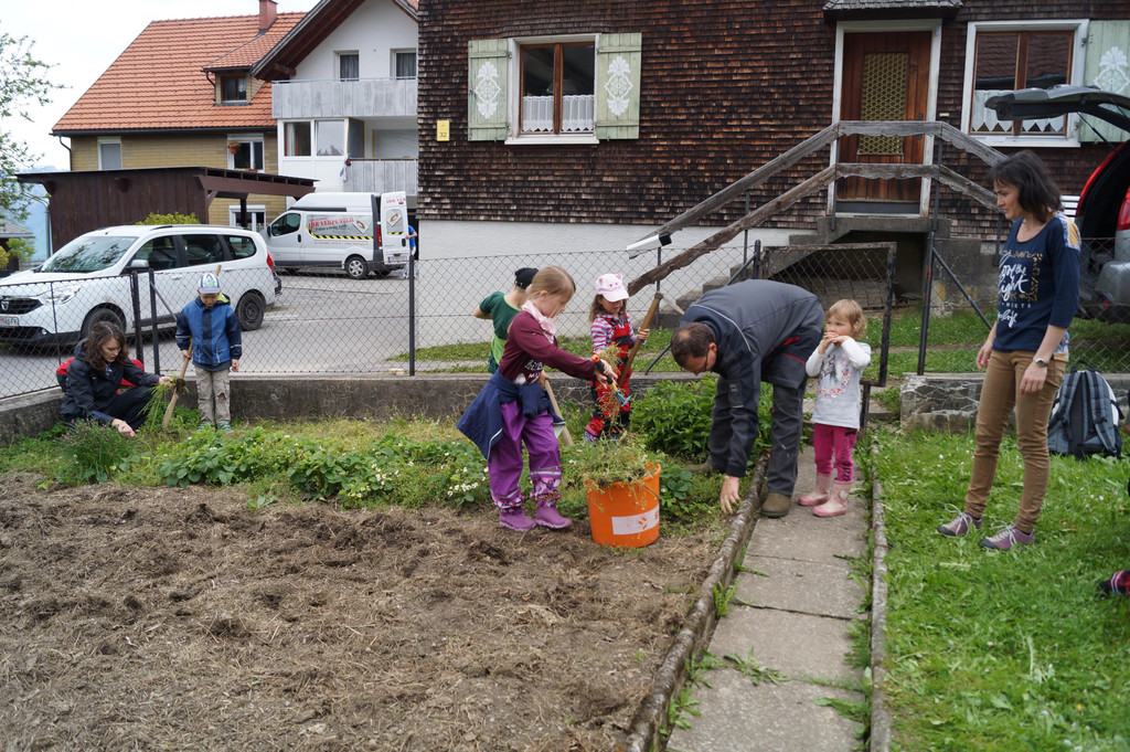 Heukartoffel pflanzen_2017 _14_.JPG