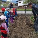 Heukartoffel pflanzen_2017 _20_.JPG