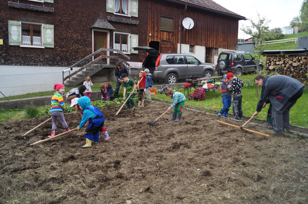 Heukartoffel pflanzen_2017 _36_.JPG