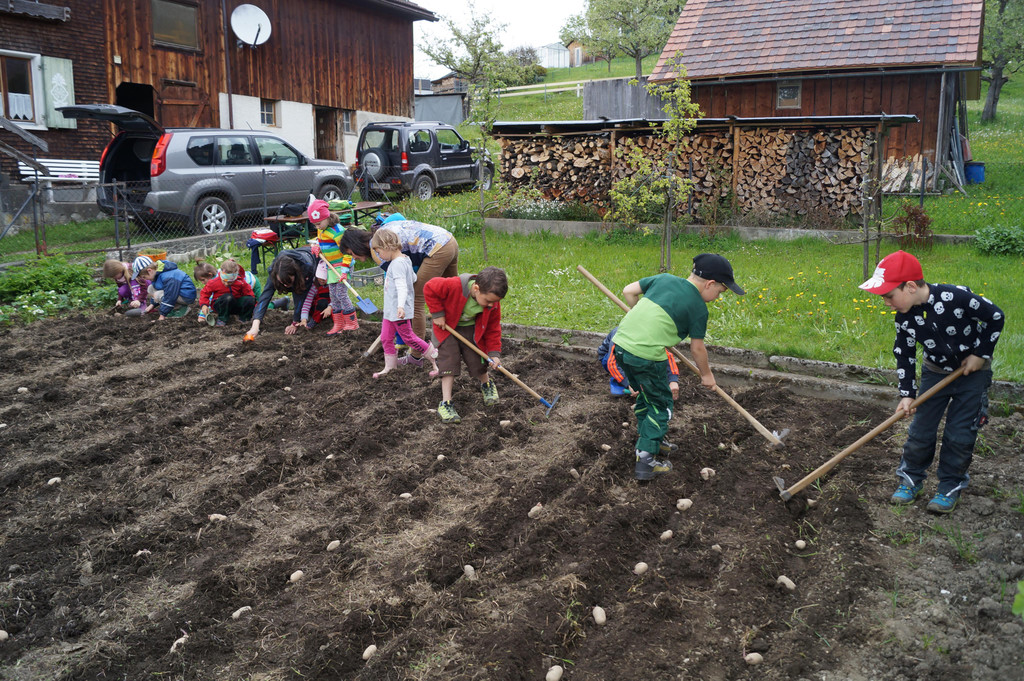 Heukartoffel pflanzen_2017 _53_.JPG