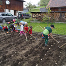 Heukartoffel pflanzen_2017 _53_.JPG