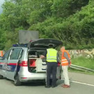 Unfall5 Kopie.jpg
