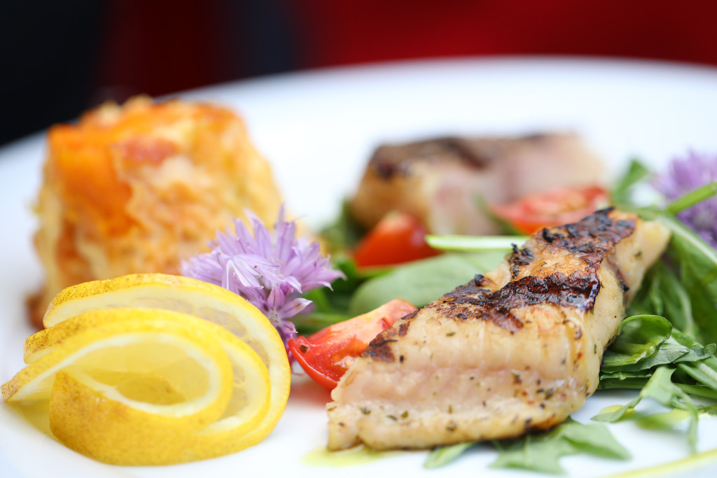 Edelwels auf Rucola mit S____kartoffelgratin .jpg