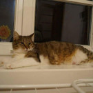 Unsere Maus