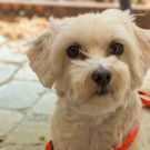 VIP Eroeffnung in die ALLEE - Die Allee - 24_05_2017-37.jpg