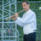 Sommernachtskonzert der Wiener Philharmoniker 2017-20.jpg