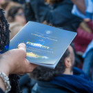 Sommernachtskonzert der Wiener Philharmoniker 2017-22.jpg