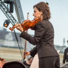 Sommernachtskonzert der Wiener Philharmoniker 2017-31.jpg