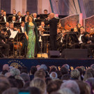 Sommernachtskonzert der Wiener Philharmoniker 2017-52.jpg