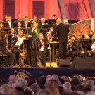 Sommernachtskonzert der Wiener Philharmoniker 2017-59.jpg