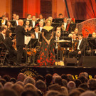 Sommernachtskonzert der Wiener Philharmoniker 2017-68.jpg