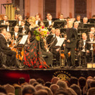 Sommernachtskonzert der Wiener Philharmoniker 2017-74.jpg