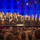 Sommernachtskonzert der Wiener Philharmoniker 2017-82.jpg