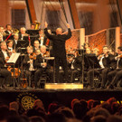 Sommernachtskonzert der Wiener Philharmoniker 2017-86.jpg