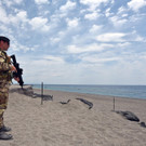 AFP_OW47R.jpg