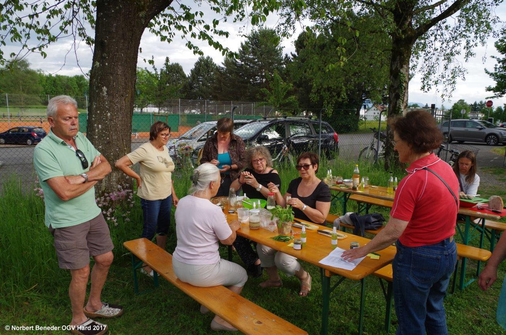 Kraeuterkurs_II_05_24_2017_062.jpg
