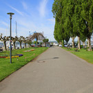 IMG_5609.JPG