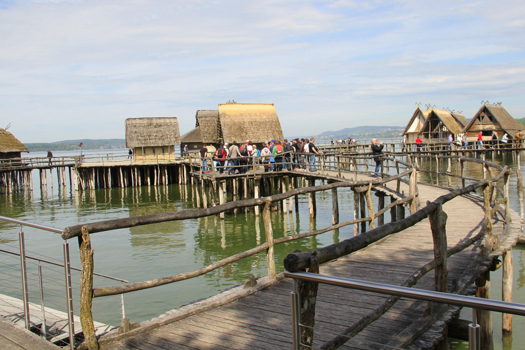 IMG_5639.JPG