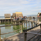 IMG_5639.JPG