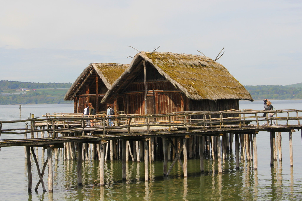 IMG_5643.JPG