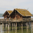 IMG_5643.JPG