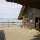 IMG_5658.JPG